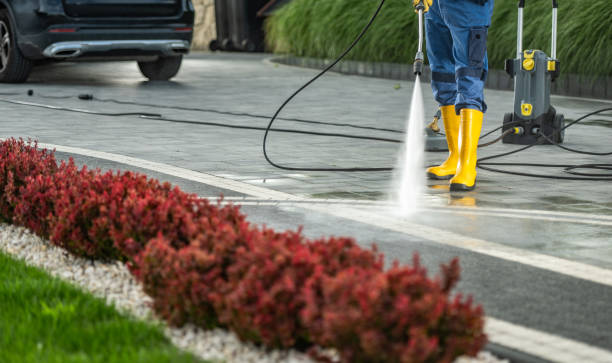 Reliable Seagraves, TX Pressure Washing Services Solutions